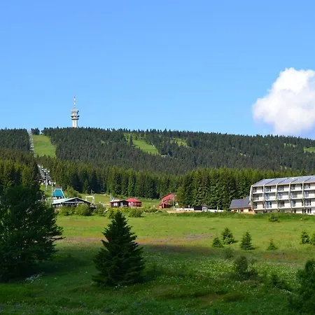 Venus S Velkou Terasou